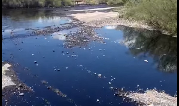 Tras el derrame de Oldelval, Darío Martínez avisó que exigirán “todas las tareas de remediación”