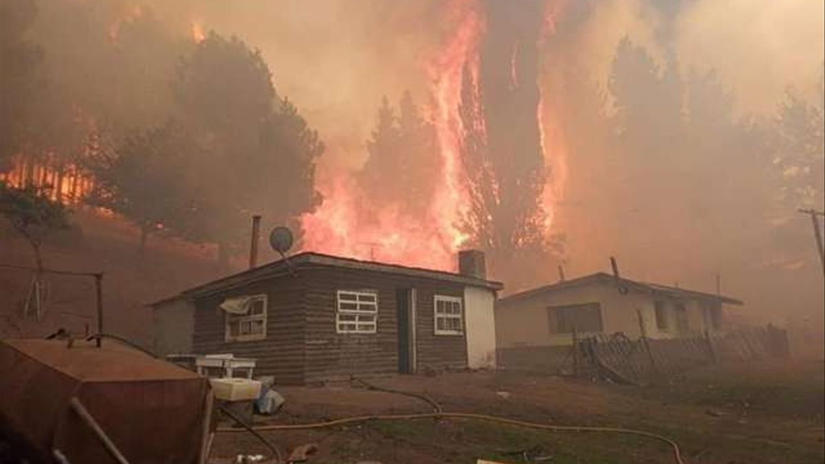 Envían medios aéreos para combatir los incendios forestales en Chubut y Río Negro