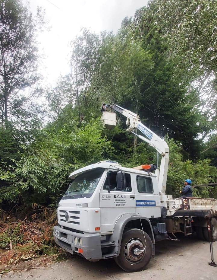 Realizan la poda de árboles en las líneas eléctricas de la Comarca Andina