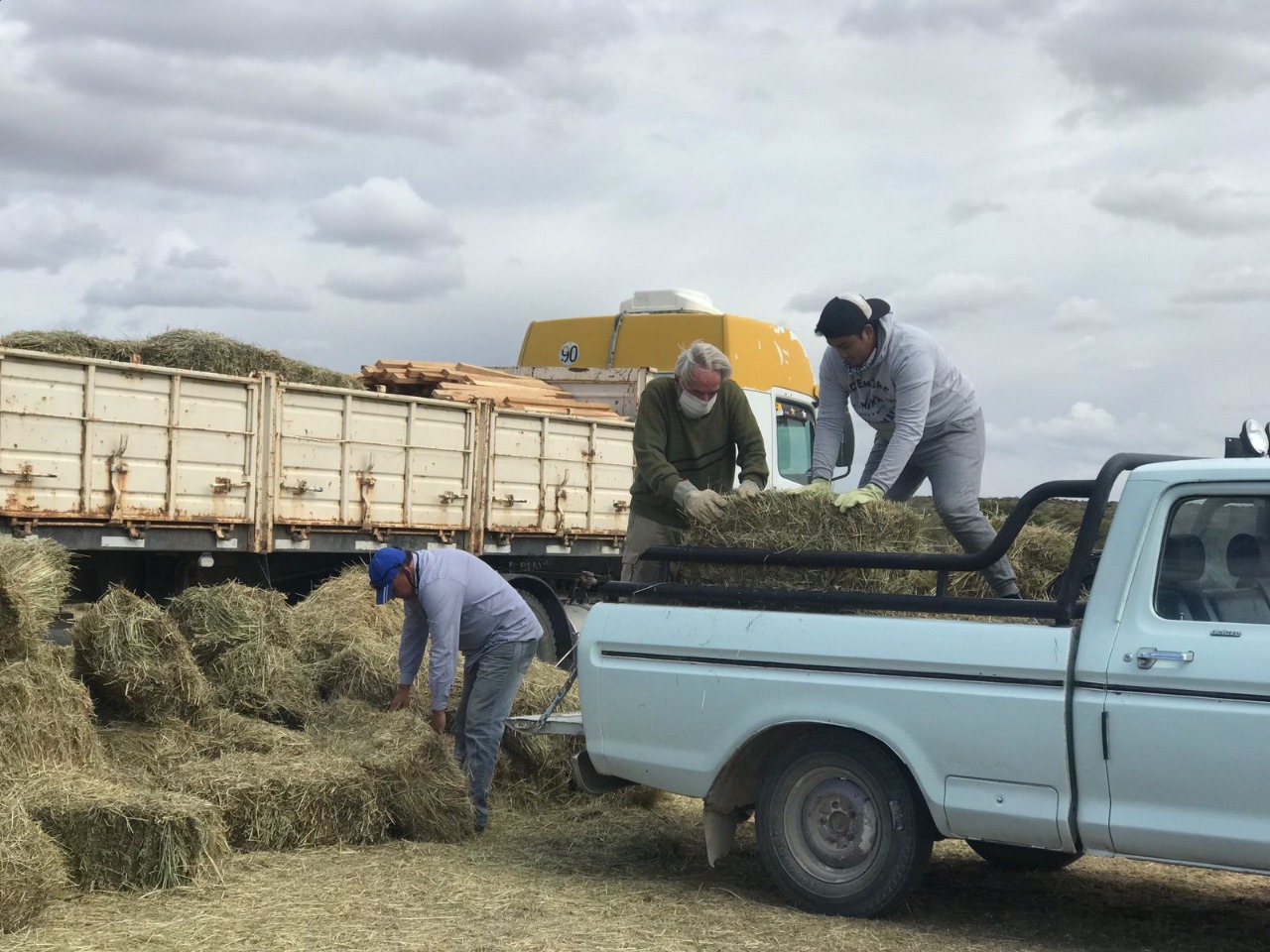 Provincia entregó insumos a productores afectados por los incendios en Península Valdés