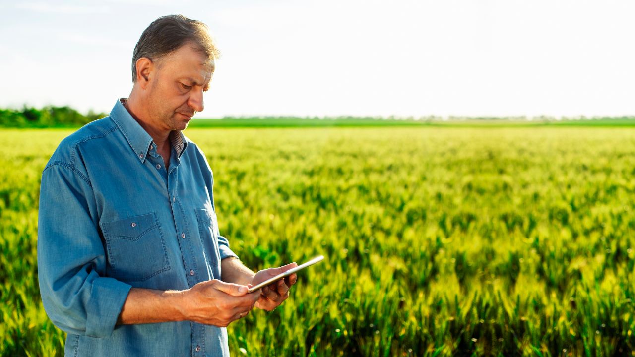 Crearon una nueva startup argentina para lograr inclusión digital rural