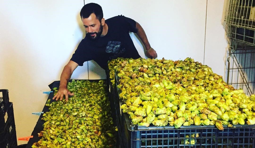 KM5: La cerveza artesanal con sello comodorense que en octubre llega al Museo del Louvre en París