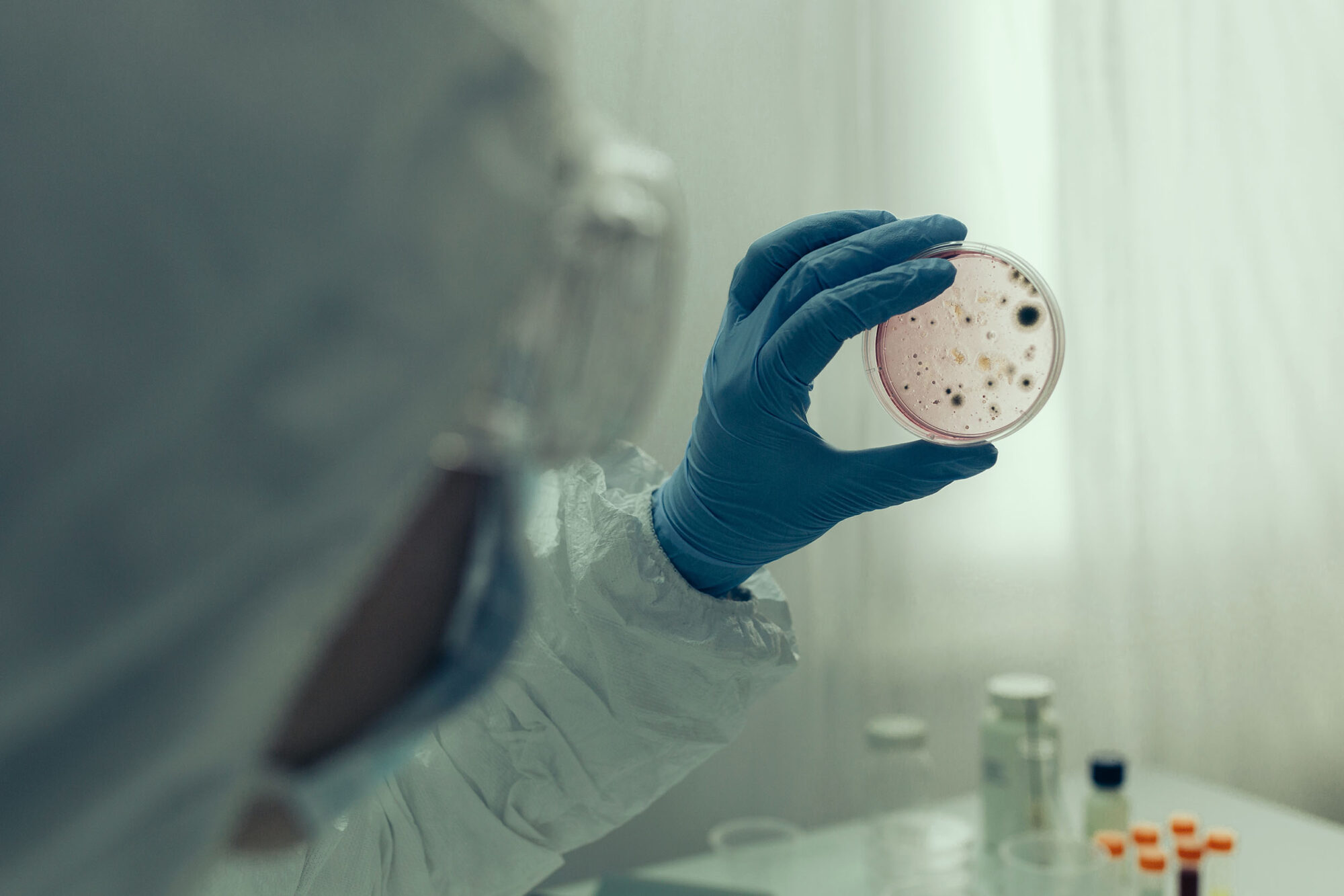 Una infectóloga dijo que “más del 80% de los internados son gente no vacunada”