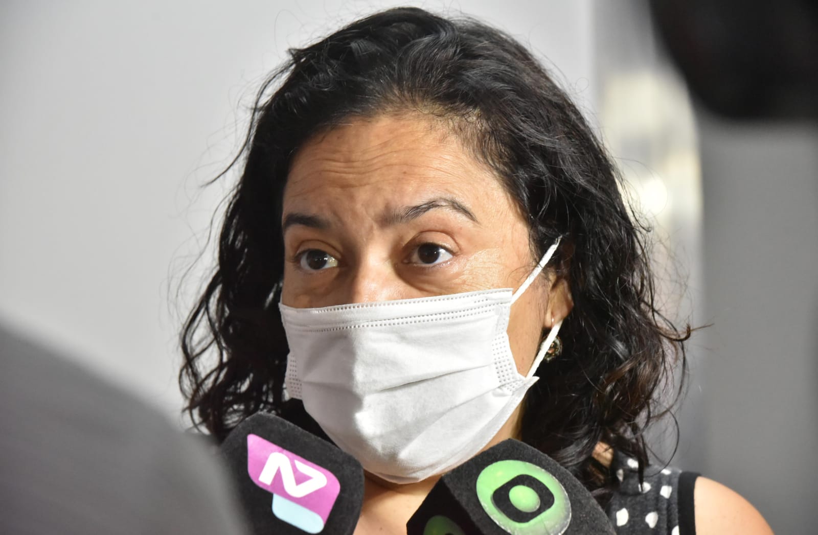 Salud solicitó reforzar medidas de cuidado orientadas a prevenir los casos de Hantavirus en la cordillera chubutense