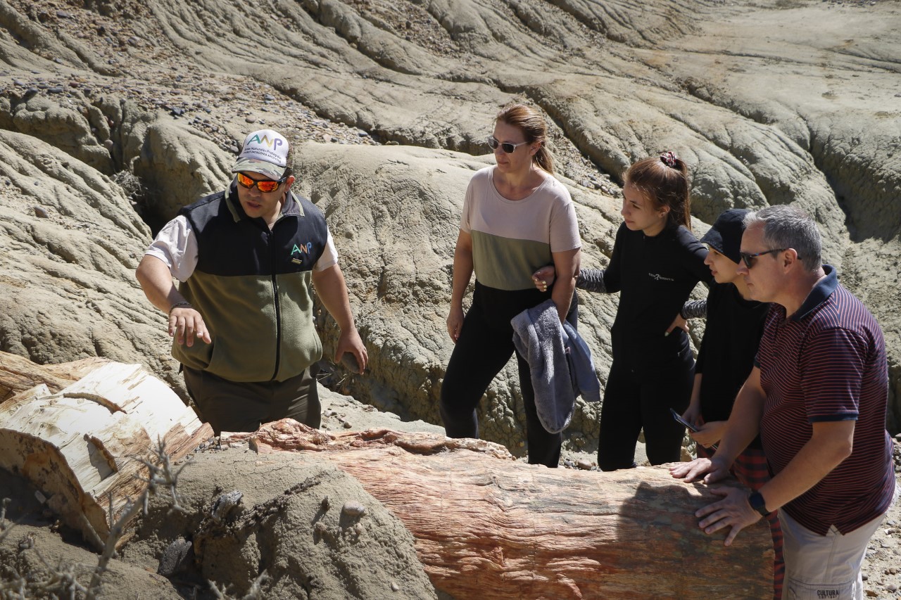 Bosque Petrificado Sarmiento: Un museo a cielo abierto con más de 65 millones de años