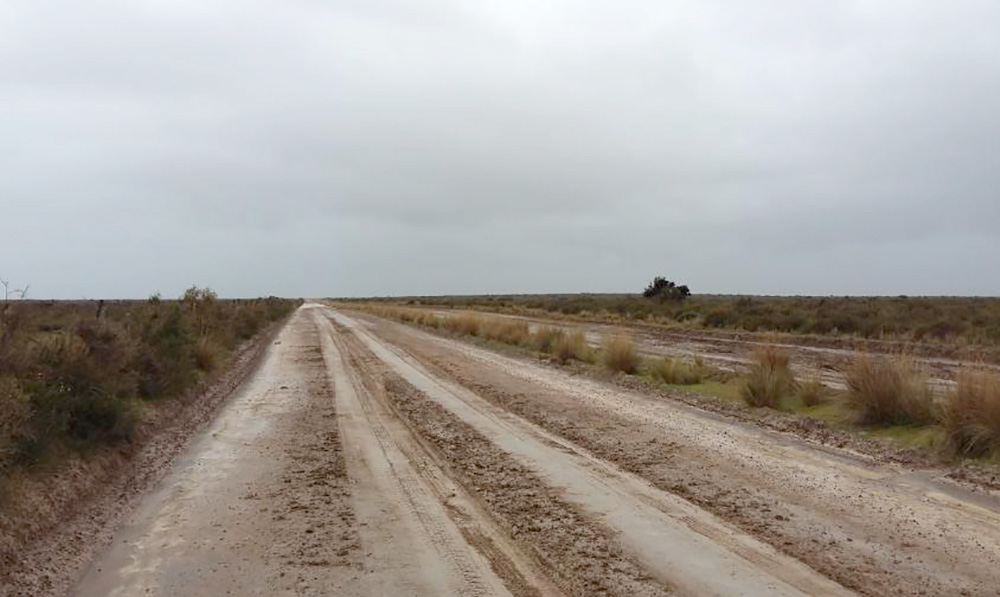 Por las lluvias, los caminos internos de Península Valdés quedaron intransitables