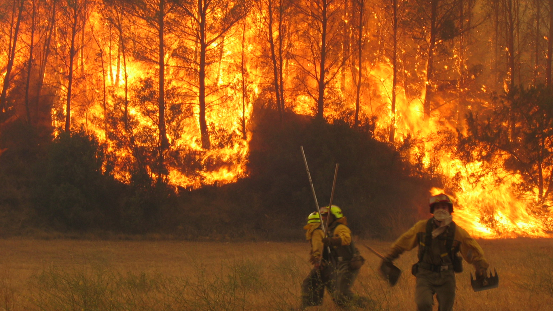 Una comitiva enviada por el Gobierno porteño llegó a Corrientes para combatir los incendios