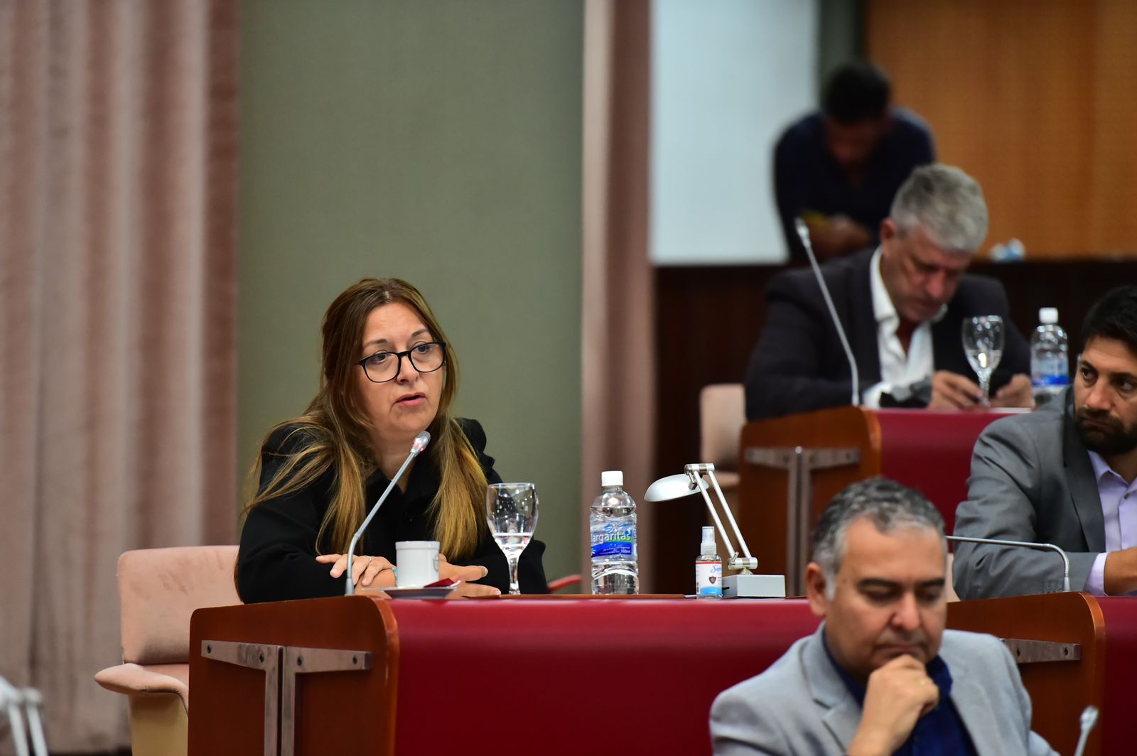 Diputados de la UCR convocaron a Perata a Legislatura para que explique el posible cierre de seis escuelas de Chubut