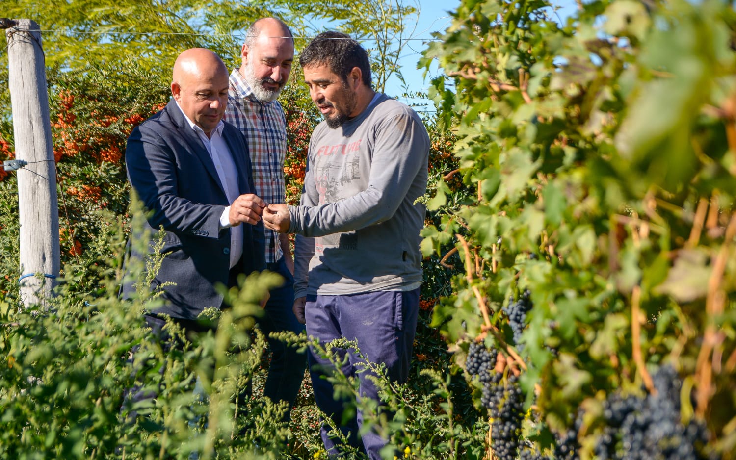 Sastre valoró el crecimiento de la Bodega “Del Golfo” de Puerto Madryn y dijo que es una prueba cabal “del mito de que en la Patagonia no se puede producir”