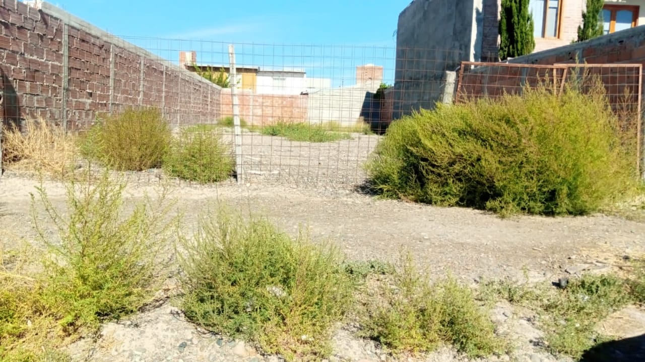 El Municipio de Trelew profundiza los controles y la aplicación de multas por falta de limpieza en terrenos y frentes