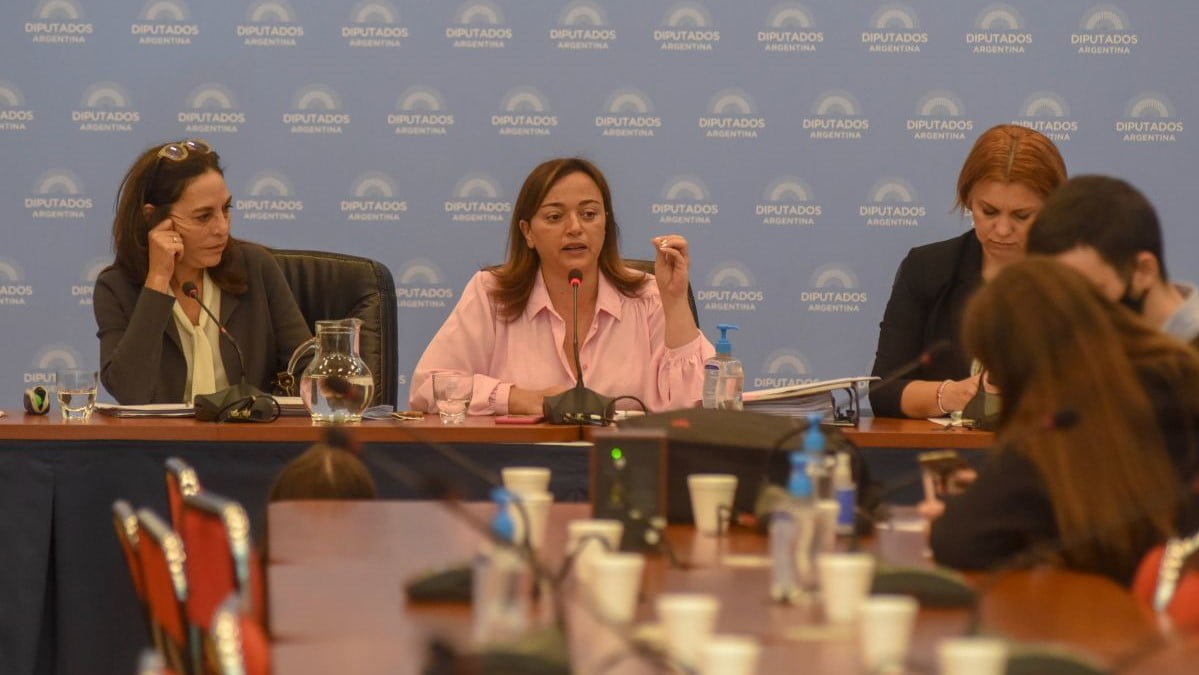 Diputados comienza a cerrar hoy el debate para reformar la ley de alquileres