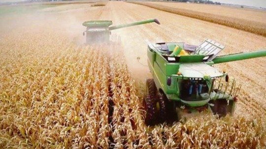 El Gobierno Nacional analiza una nueva suba de las retenciones al trigo