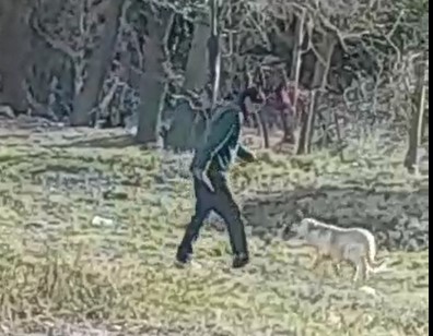 Horror en Paso de Indios: Un hombre apuñaló a un perro