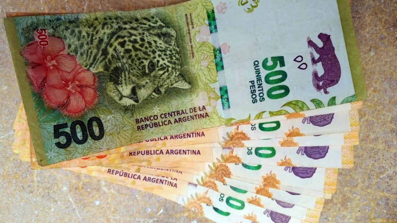 El Gobierno Nacional confirmó que reemplazará a los animales de los billetes por próceres