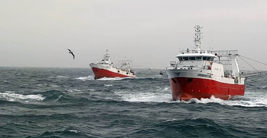 Abren la inscripción para empresas que deseen participar en prospección de langostino