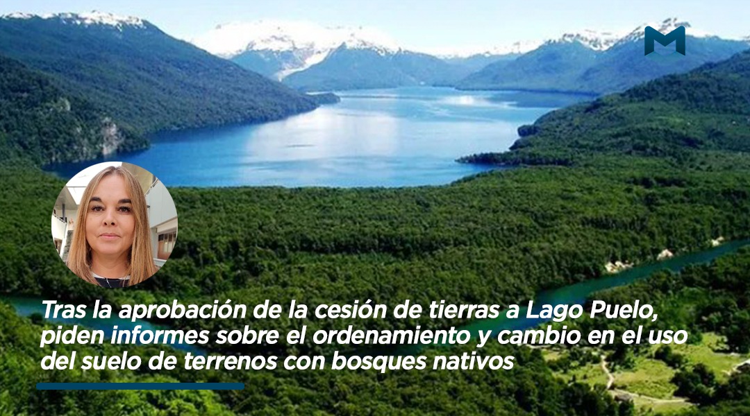 Tras la aprobación de la cesión de tierras a Lago Puelo, piden informes sobre el ordenamiento y cambio en el uso del suelo de terrenos con bosques nativos