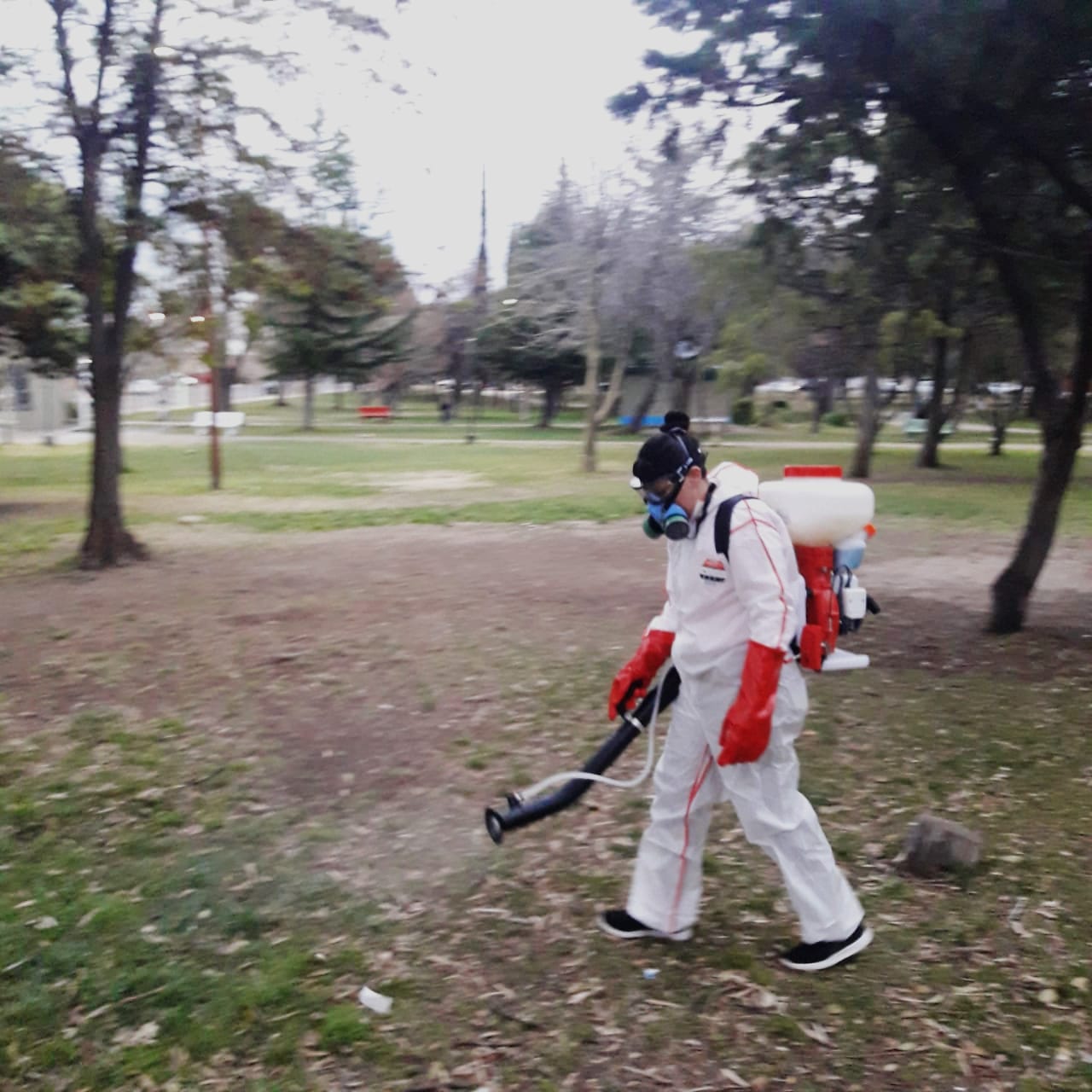 Trelew inició un cronograma estacional de fumigación: Días, horarios y zonas