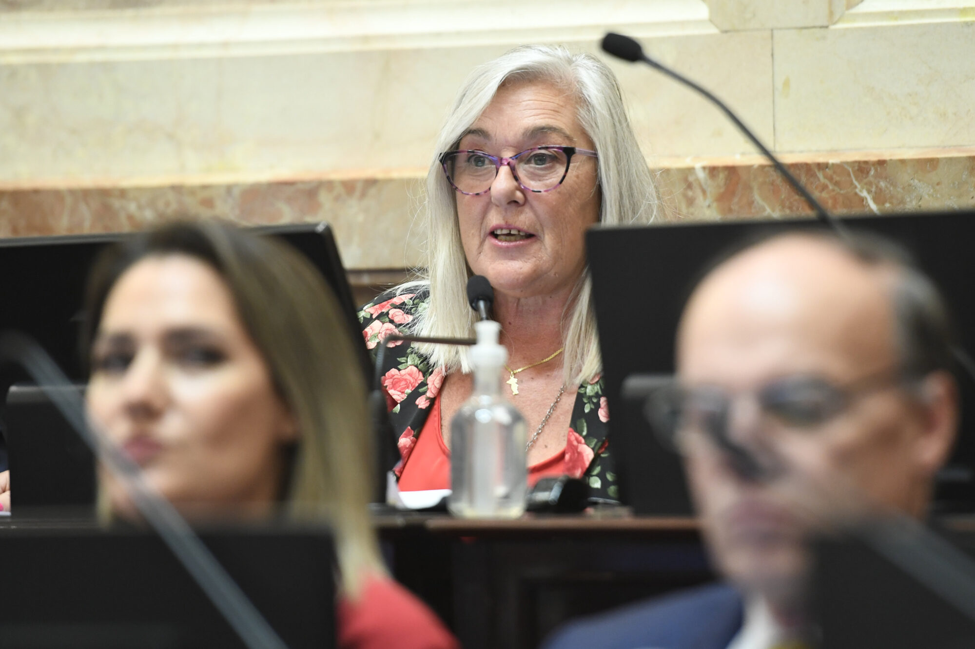 Terenzi presentó el proyecto de Ficha Limpia