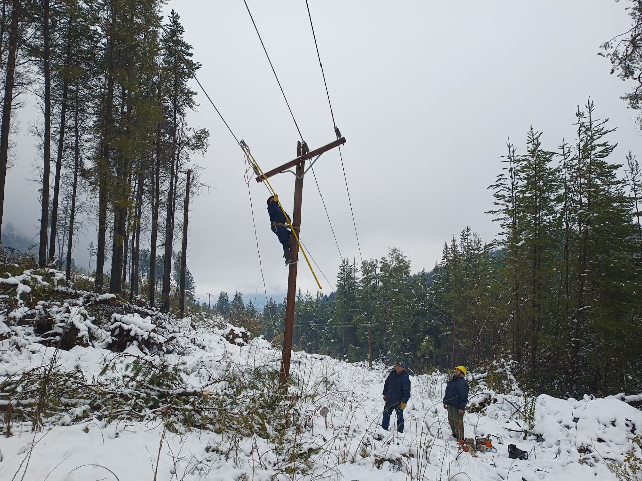 Provincia trabaja en la reparación de postes y líneas eléctricas afectadas por el temporal de nieve en la Comarca Andina