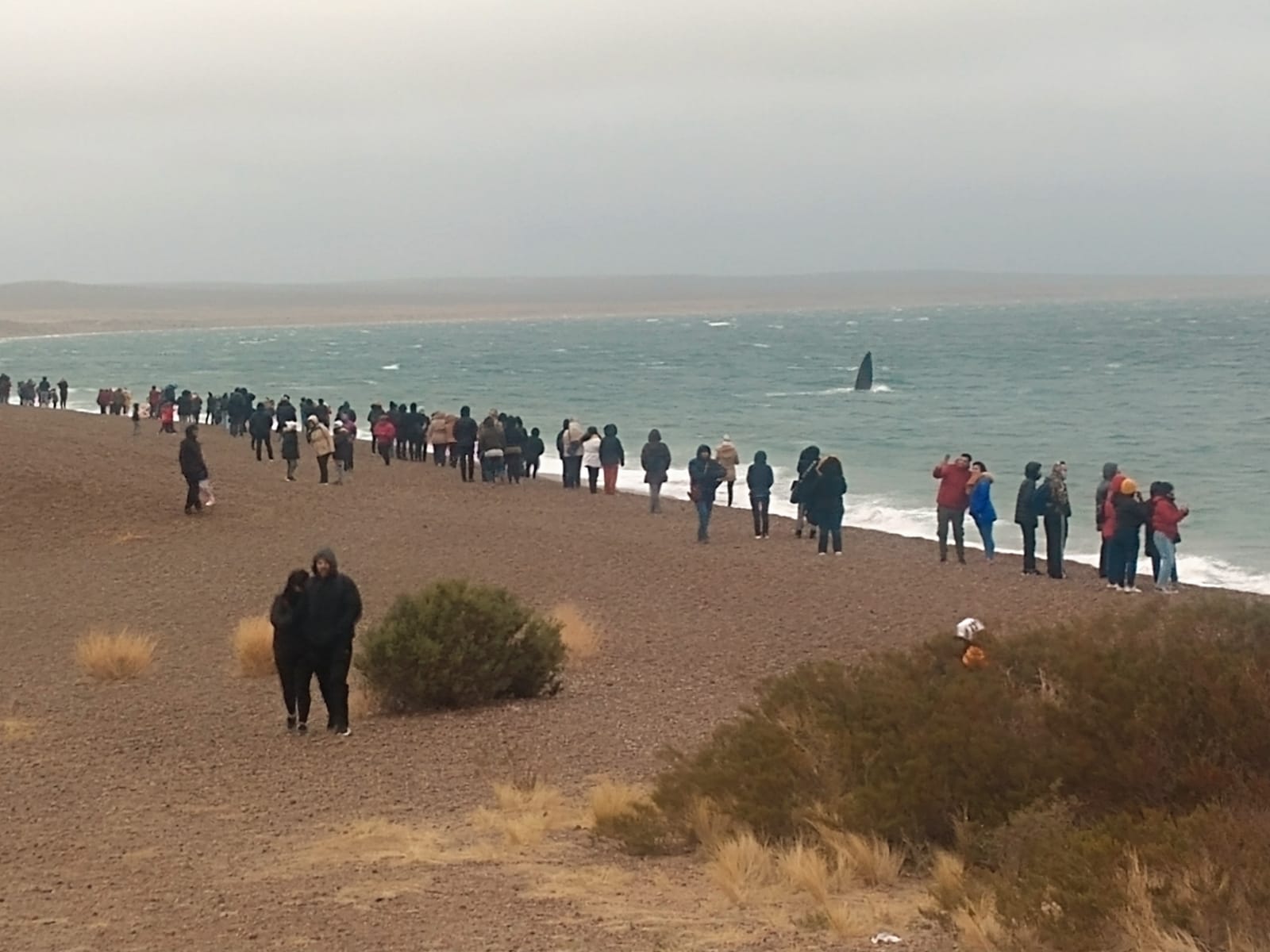 Sastre sobre ‘Turismo muy cerca’: “Necesitamos que todos los vecinos cuiden y promocionen nuestros atractivos y con estos programas generamos eso”
