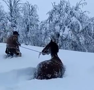 La nieve ya casi llega al metro y medio en Río Pico y se dificulta la tarea en los campos para encontrar animales