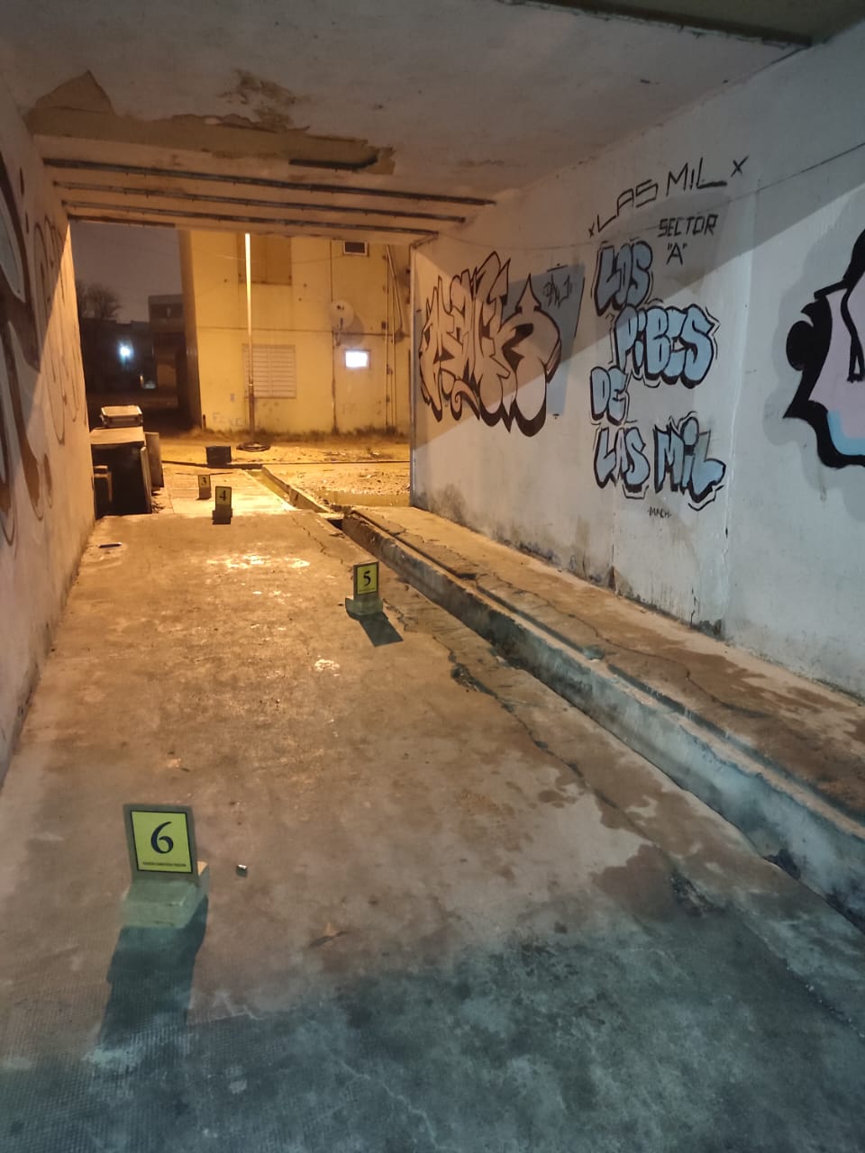 Casi una tragedia: Una vecina del Barrio Constitución denunció disparos contra su vivienda y una bala pasó cerca de un niño de 9 años