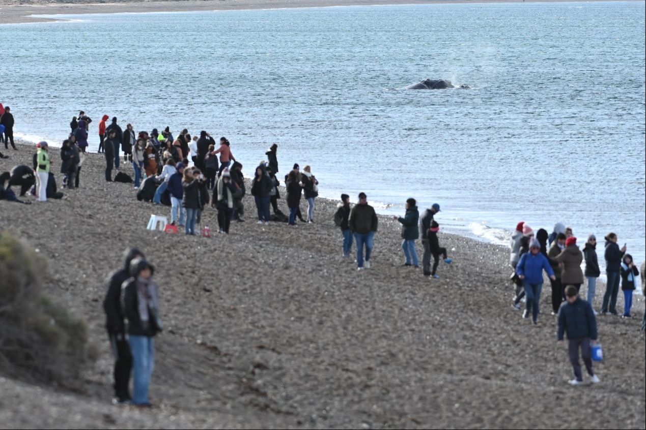 Madryn récord: En las vacaciones de invierno ya hay un 25% de ocupación más que en 2021 con un derrame económico superior a los $ 500 millones