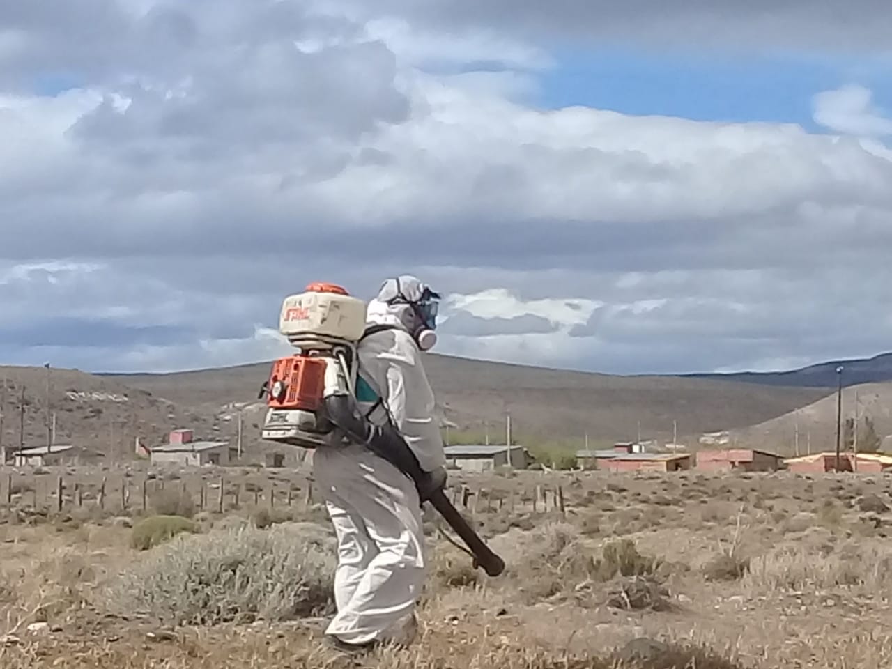 Chubut se suma al Comité Interinstitucional Patagónico con el objetivo de prevenir la plaga de tucuras