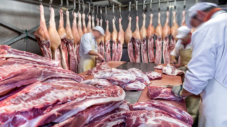 Por las restricciones cambiarias las importaciones de carne de cerdo cayeron un 24 por ciento