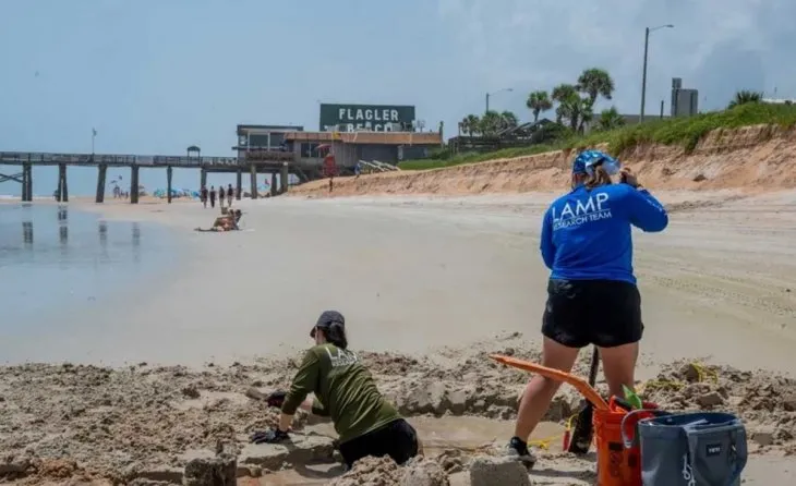 El increíble hallazgo en una playa al usar un detector de metales