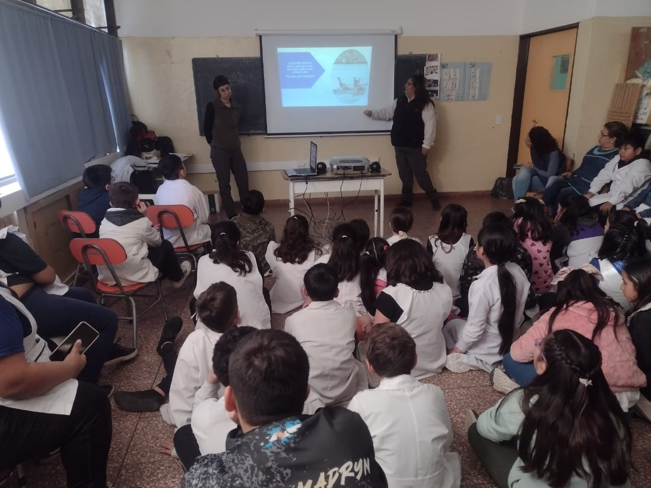 Dictaron charlas sobre fauna silvestre en escuelas primarias de Puerto Madryn