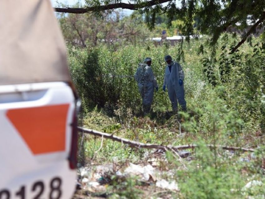 El Maitén: Un perro encontró un cráneo en un descampado e intentan determinar si pertenece a un hombre desaparecido