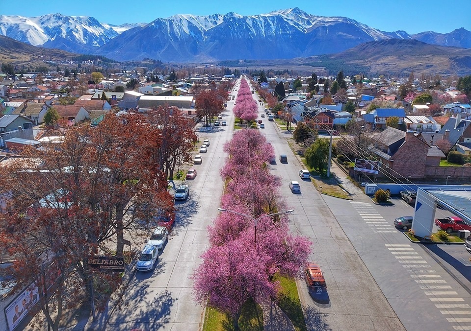 Esquel entregará árboles y plantas producidas en el vivero municipal