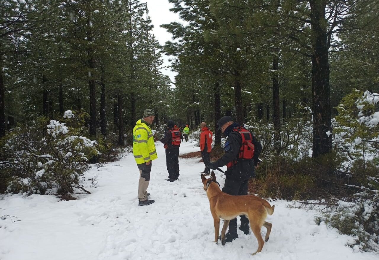 Continúan los trabajos de búsqueda del joven José Crettón