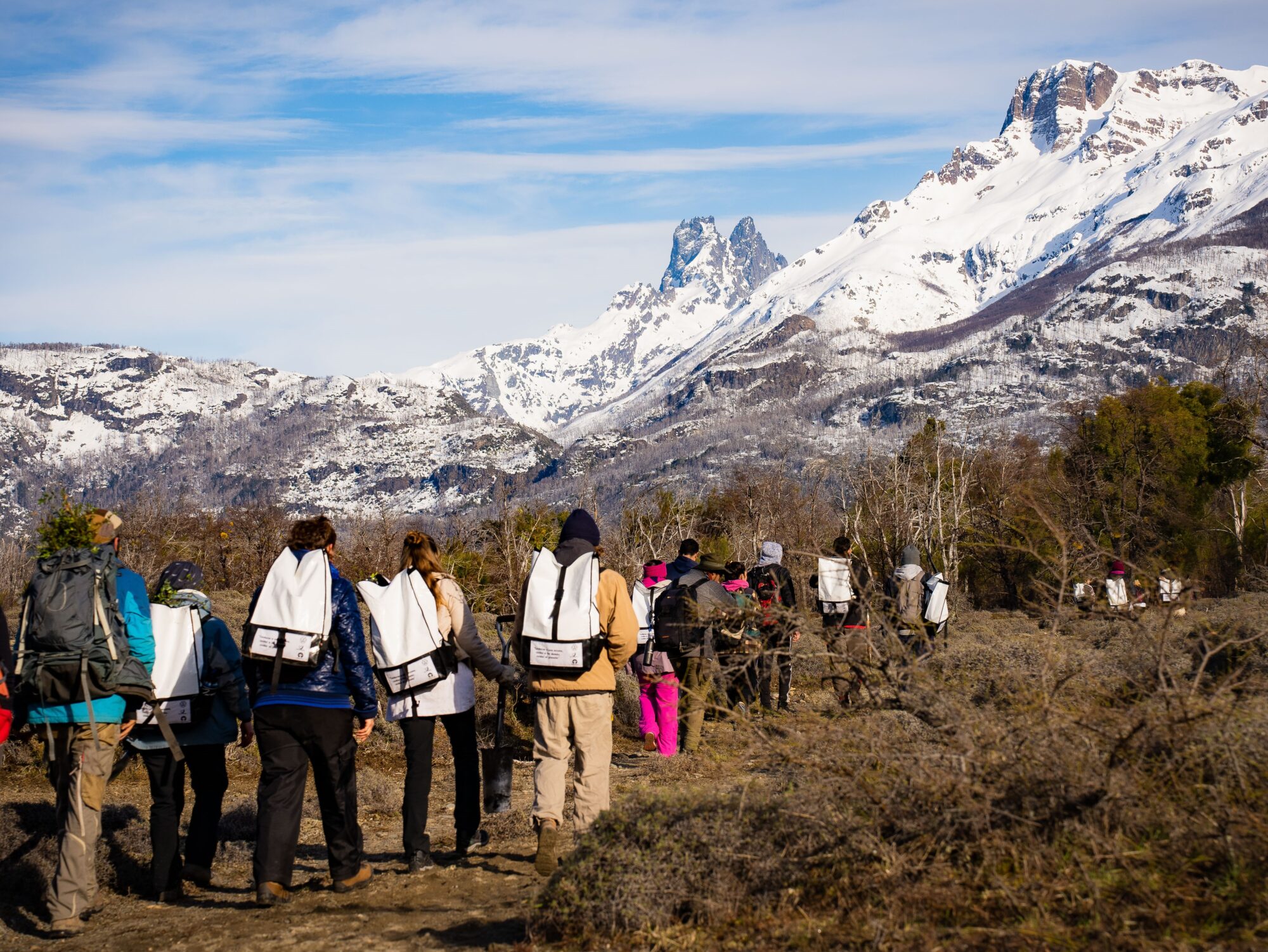 Avanzan con la restauración de bosques afectados por incendios
