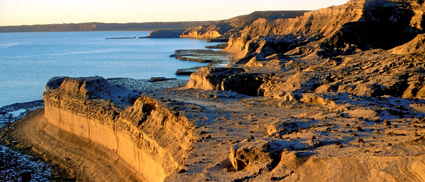 El Gobierno provincial estableció una veda precautoria en todo el Golfo San José