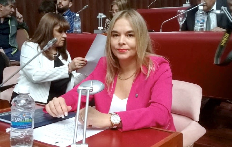 Lloyd Jones: “Me estoy preparando para ser candidata a intendenta por Trelew”