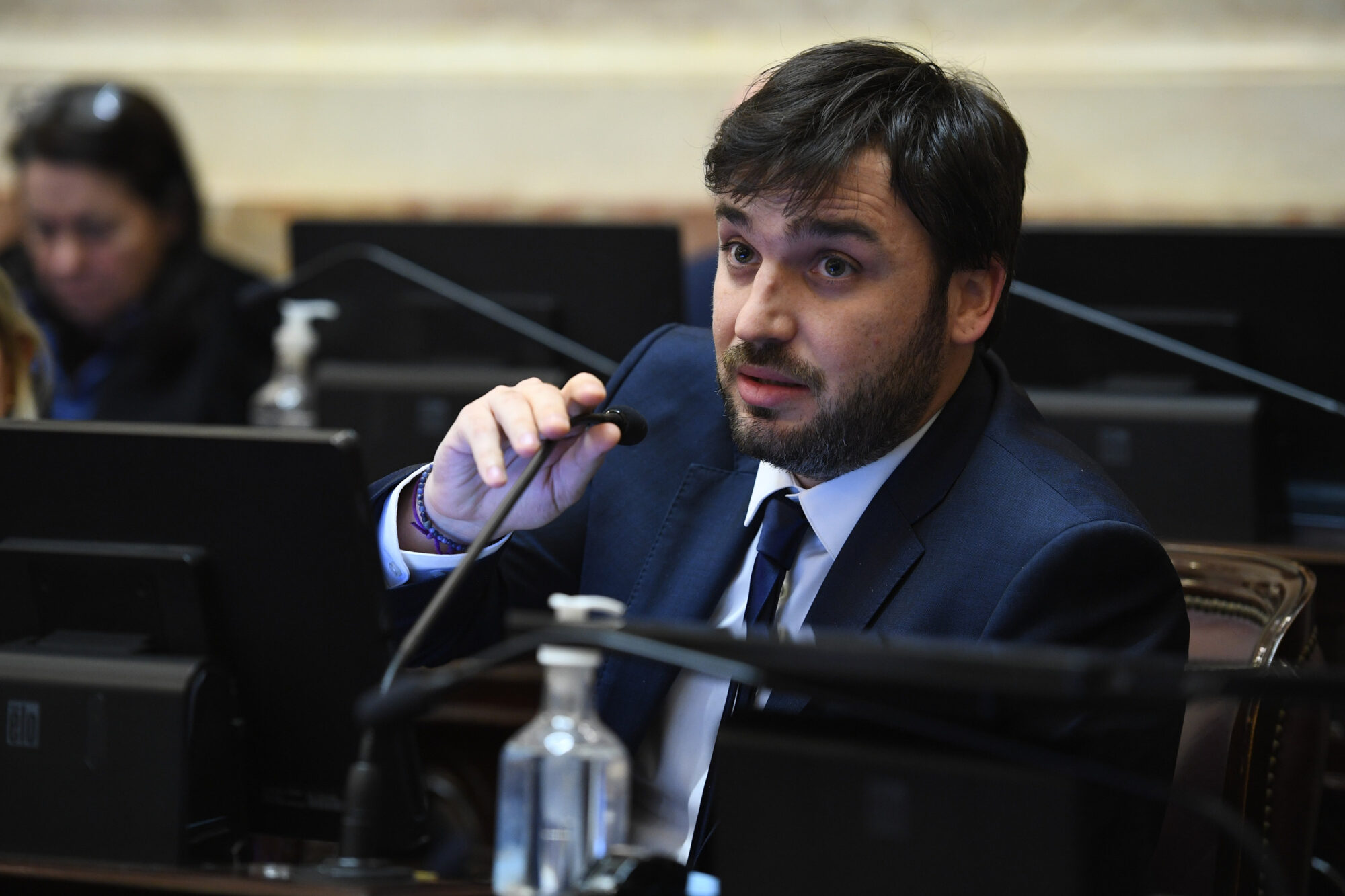 Torres pidió declarar la emergencia fitosanitaria en la cordillera para frenar el avance de la tucura