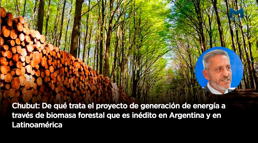 Chubut: De qué trata el proyecto de generación de energía a través de biomasa forestal que es inédito en Argentina y en Latinoamérica