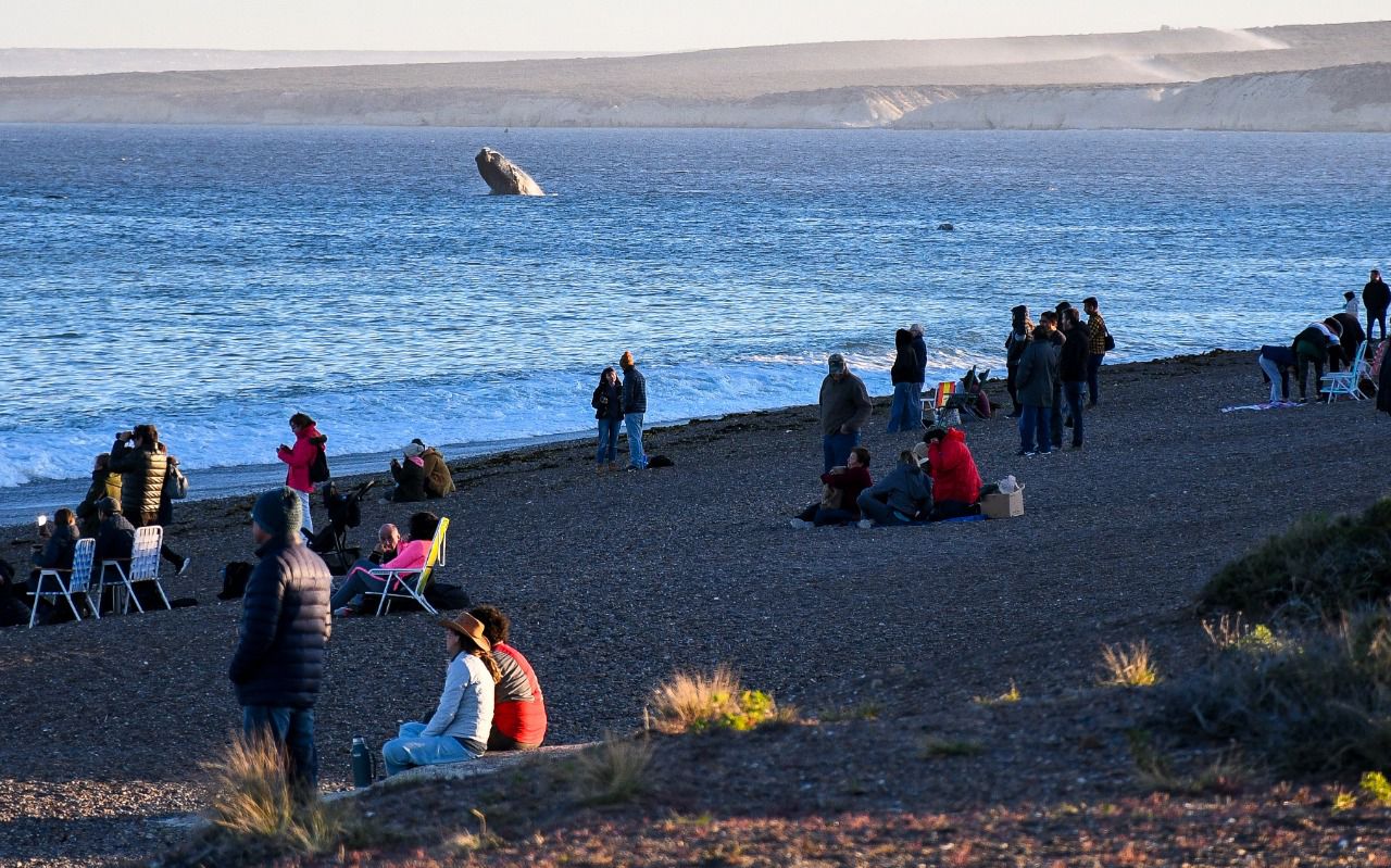 Fin de semana largo en Puerto Madryn: Con ocupación plena, el turismo generó un movimiento económico superior a los $ 500 millones