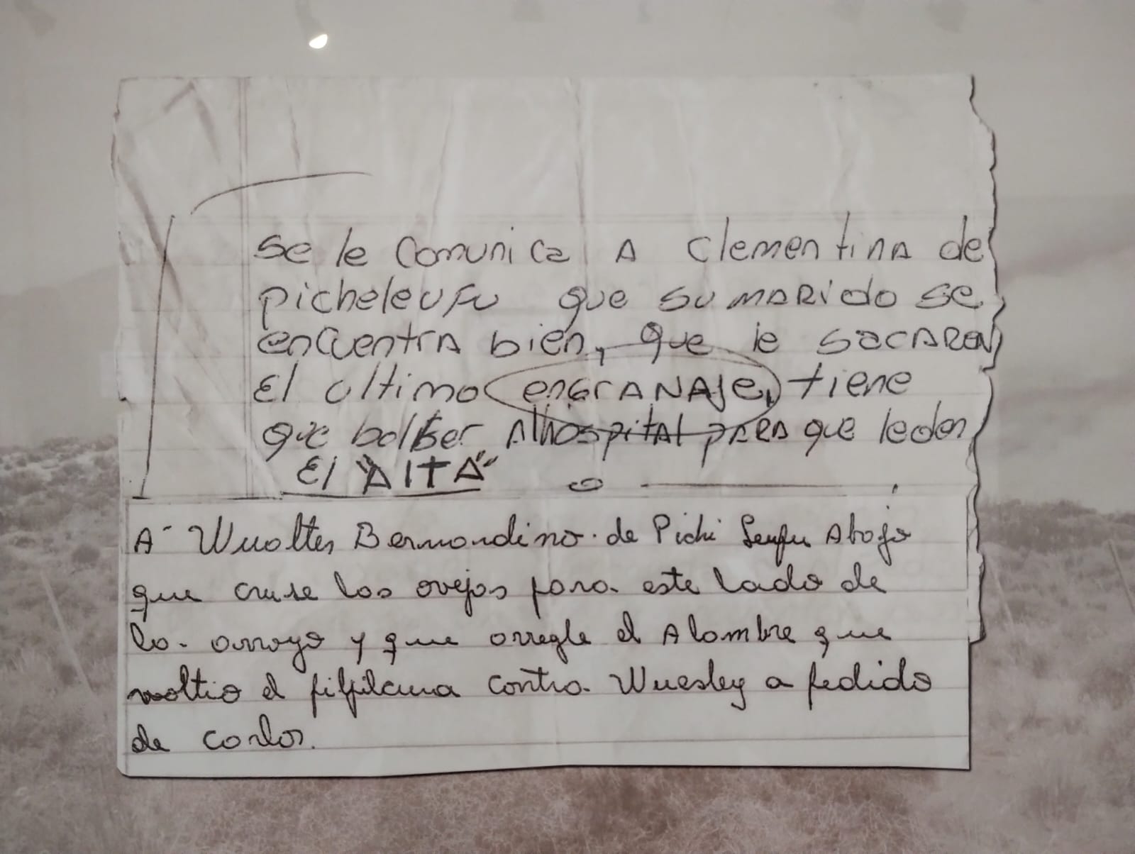 Trelew: Se inauguró la muestra “Mensajes al poblador rural” en el Centro Cultural
