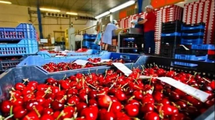 Primer impacto de la misión comercial en San Pablo: En diciembre partirán dos camiones con cerezas de Gaiman a Brasil