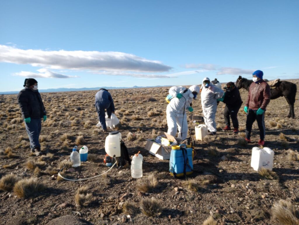 Chubut: El Gobierno realizó pruebas con una aspiradora para combatir la plaga de la tucura sapo