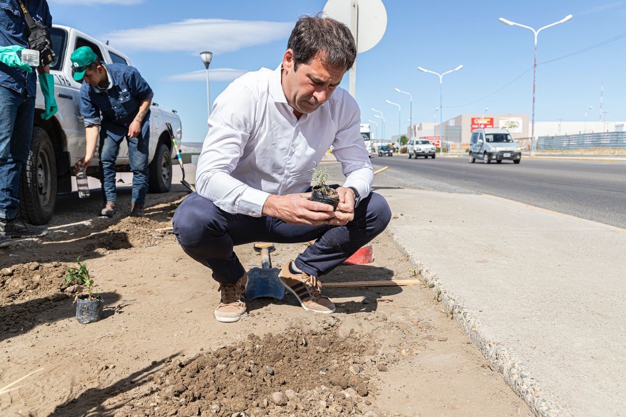 Comodoro: La Municipalidad junto a YPF Luz concretaron importante plantación de especies nativas