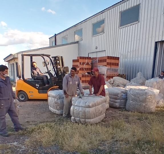 Con un precio récord, Chubut y Río Negro realizaron ventas conjuntas de lana mohair enmarcadas en el Programa Nacional de Ley Caprina