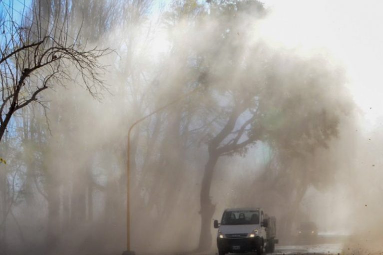 Santa Cruz y Tierra del Fuego bajo alerta amarillo por fuertes vientos