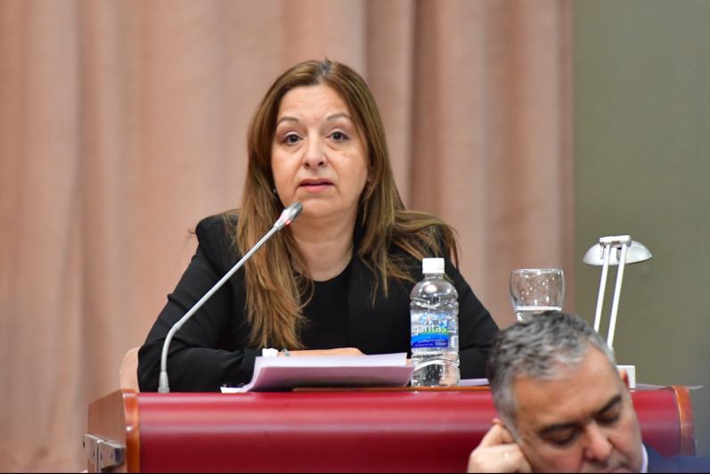 Chubut: Diputada de la UCR propone transparentar las donaciones y subsidios que ejecuta el Gobierno a través de un portal