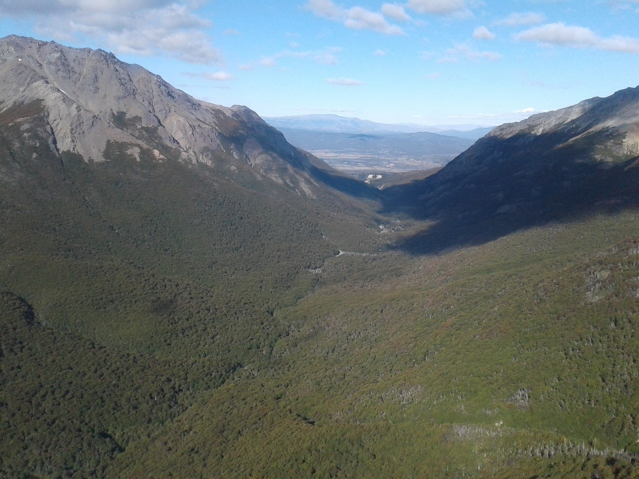 El Gobierno del Chubut inició la actualización del ordenamiento territorial de más de un millón de hectáreas de bosque nativo