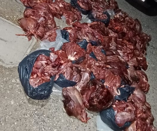 La Policía secuestró más de 1.000 kilos de guanaco en Las Plumas que eran transportados ilegalmente