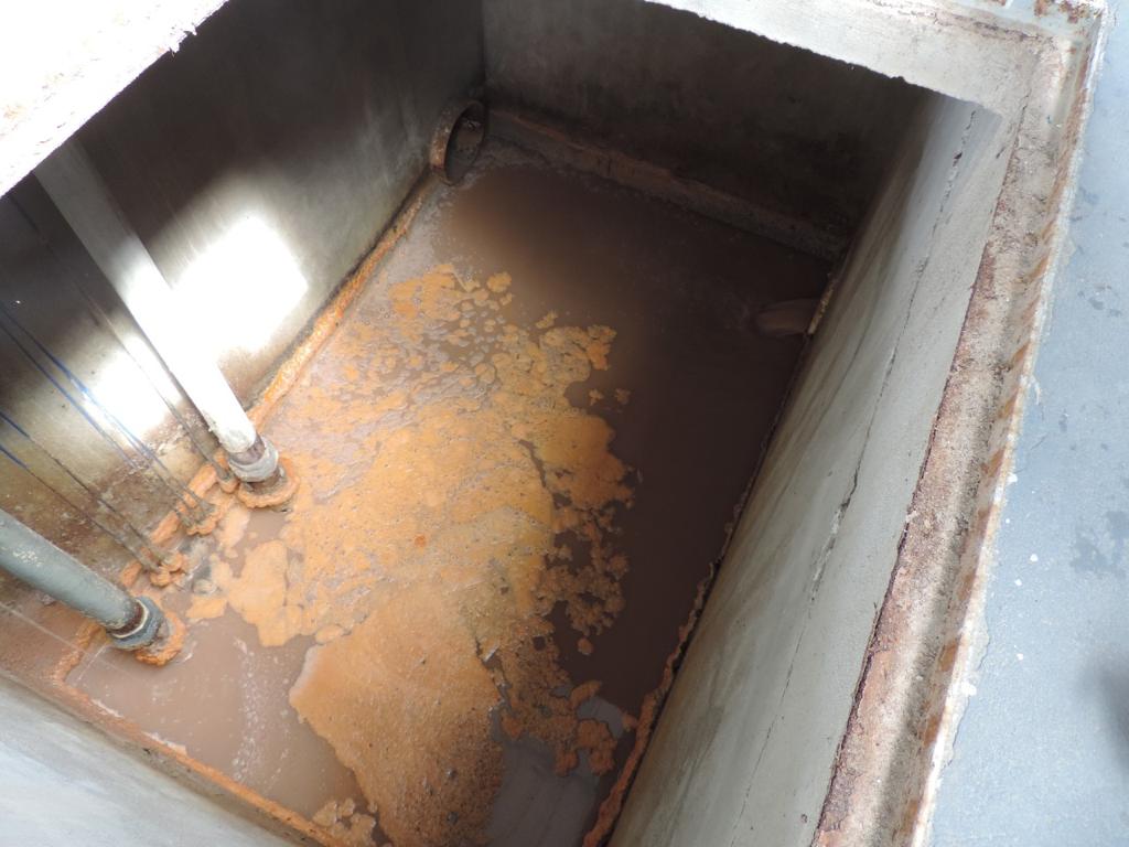 Provincia realizó inspección en una empresa pesquera de Rawson y constató que tiraba efluentes al Río sin tratamientos